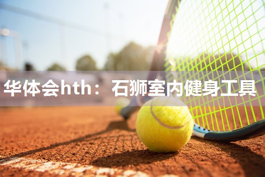 华体会hth：石狮室内健身工具