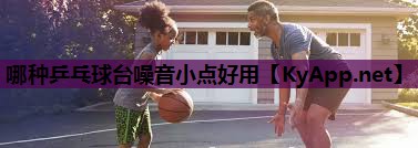 哪种乒乓球台噪音小点好用 哪种乒乓球台噪音小点好用