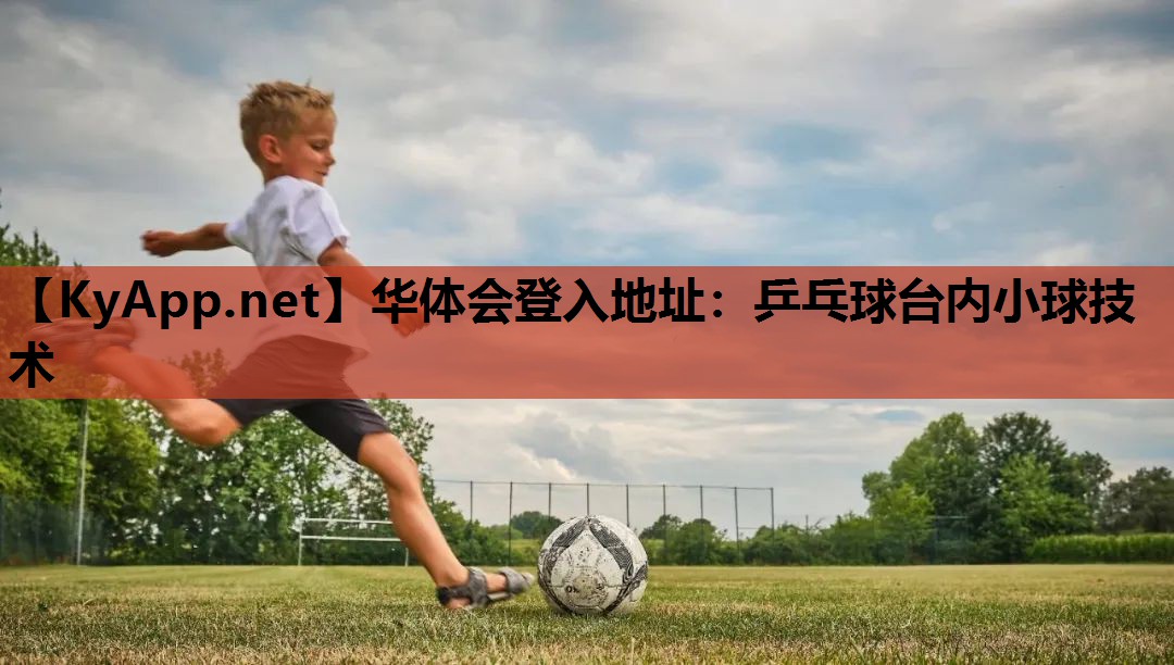 乒乓球台内小球技术 乒乓球台内小球技术