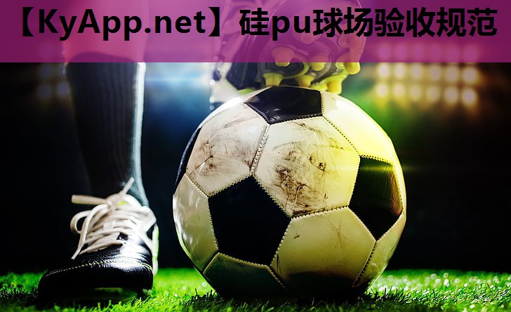 硅pu球场验收规范 硅pu球场验收规范