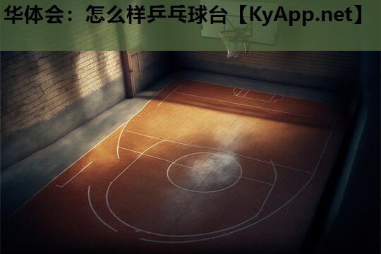 怎么样乒乓球台 怎么样乒乓球台