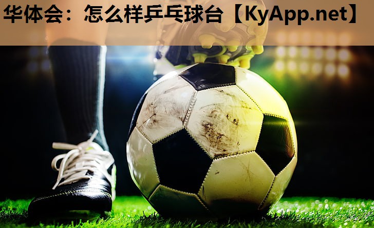 怎么样乒乓球台 怎么样乒乓球台