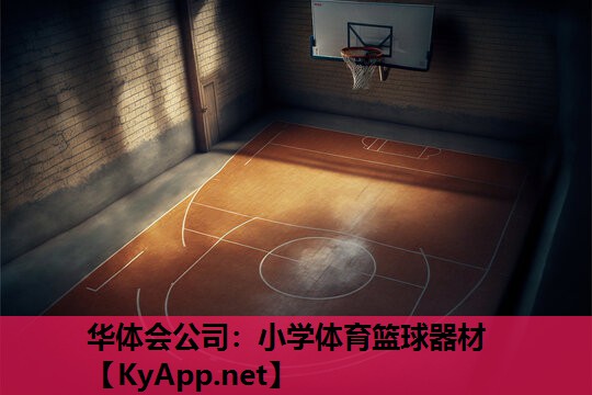 小学体育篮球器材 小学体育篮球器材