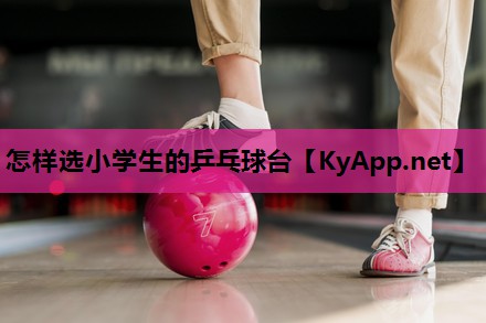 怎样选小学生的乒乓球台 怎样选小学生的乒乓球台