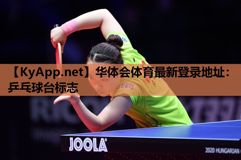 乒乓球台标志 乒乓球台标志