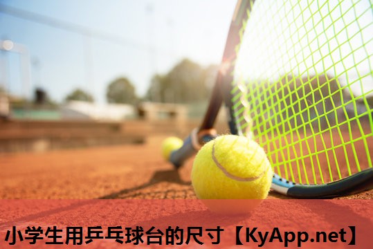 小学生用乒乓球台的尺寸 小学生用乒乓球台的尺寸