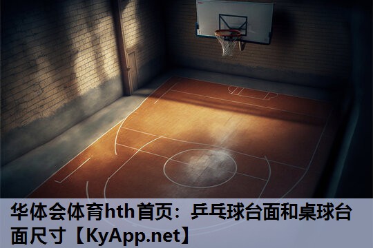 乒乓球台面和桌球台面尺寸 乒乓球台面和桌球台面尺寸