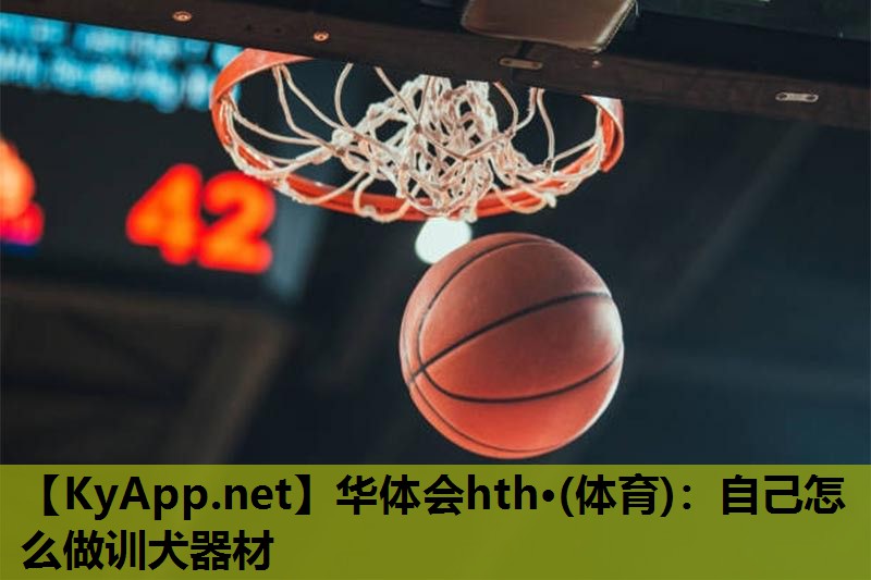 自己怎么做训犬器材 自己怎么做训犬器材