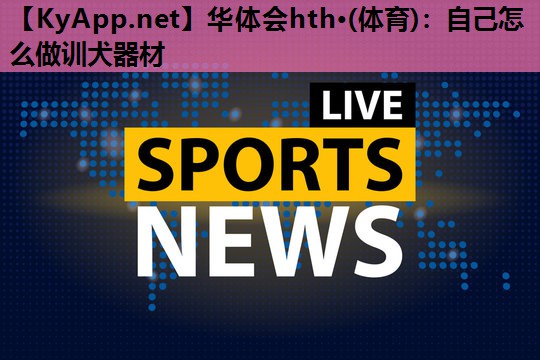 自己怎么做训犬器材 自己怎么做训犬器材