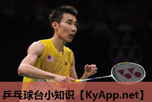 乒乓球台小知识 乒乓球台小知识