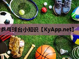乒乓球台小知识 乒乓球台小知识