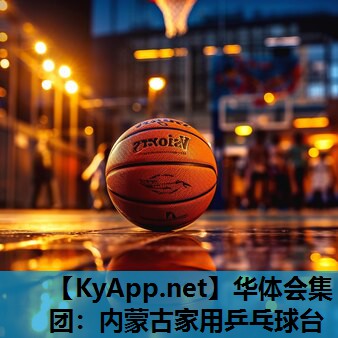 内蒙古家用乒乓球台 内蒙古家用乒乓球台