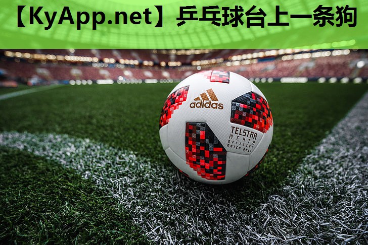 乒乓球台上一条狗 乒乓球台上一条狗