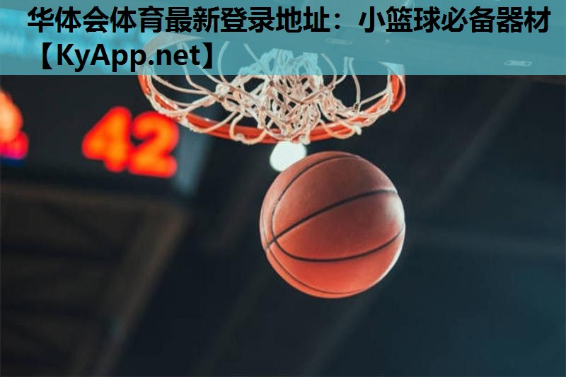 小篮球必备器材 小篮球必备器材