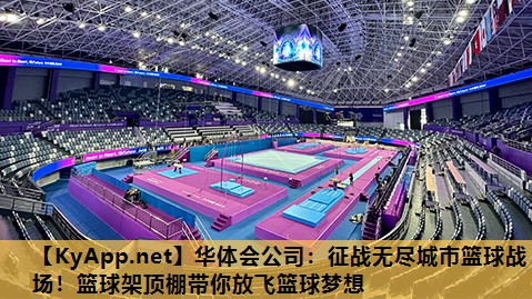 征战无尽城市篮球战场!篮球架顶棚带你放飞篮球梦想 征战无尽城市篮球战场!篮球架顶棚带你放飞篮球梦想