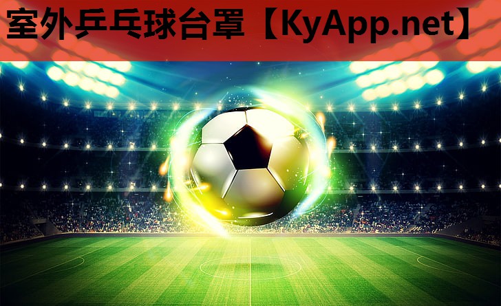 室外乒乓球台罩 室外乒乓球台罩