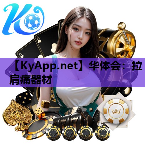 拉肩痛器材 拉肩痛器材