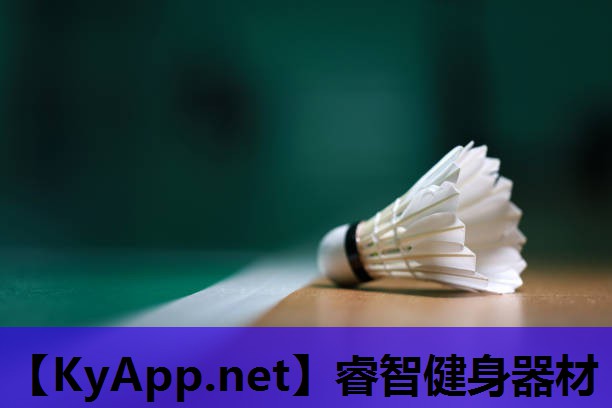 睿智健身器材 睿智健身器材