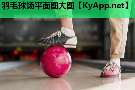 羽毛球场平面图大图 羽毛球场平面图大图