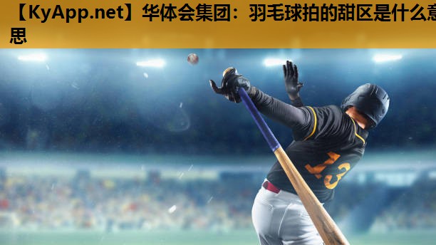 羽毛球拍的甜区是什么意思 羽毛球拍的甜区是什么意思