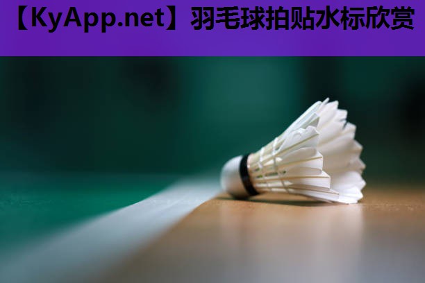 羽毛球拍贴水标欣赏 羽毛球拍贴水标欣赏
