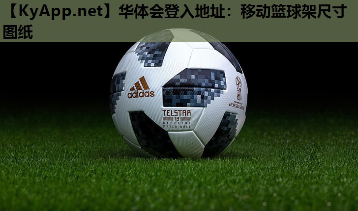 移动篮球架尺寸图纸 移动篮球架尺寸图纸