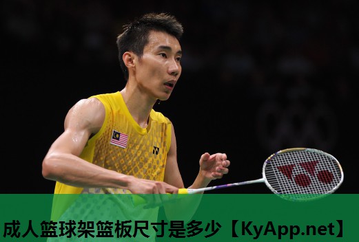 成人篮球架篮板尺寸是多少 成人篮球架篮板尺寸是多少