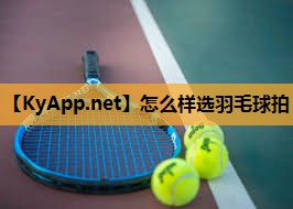 怎么样选羽毛球拍 怎么样选羽毛球拍