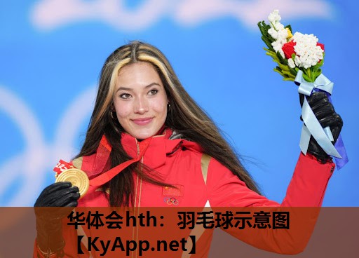 羽毛球示意图 羽毛球示意图